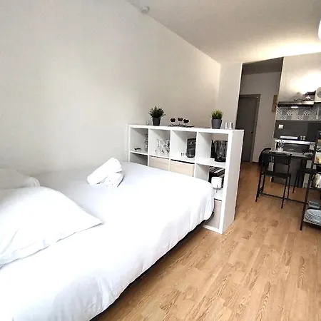 La Belle Vie Paloise - Hypercentre Apartment Pau